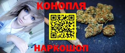 индика Ирбит