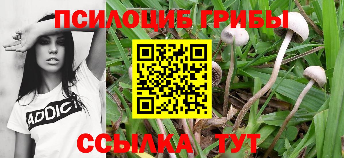 Ревда  Псилоцибиновые грибы Magic Shrooms  Псилоцибиновые грибы GOLDEN TEACHER  Вход с VPN 