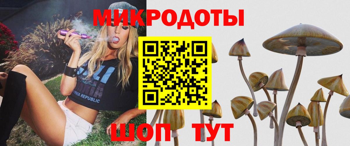 Галлюциногенные грибы Psilocybe Ревда